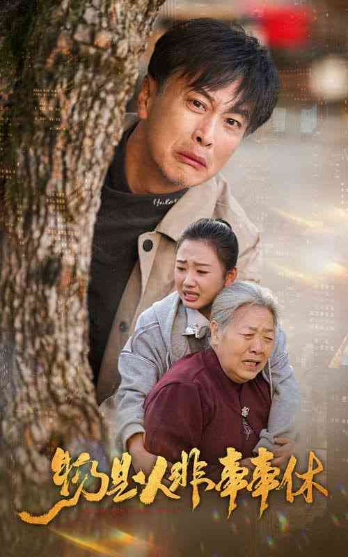 《物是人非事事休》全集免费高清短剧无广告在线播放|短剧·中国大陆·2025  第1张