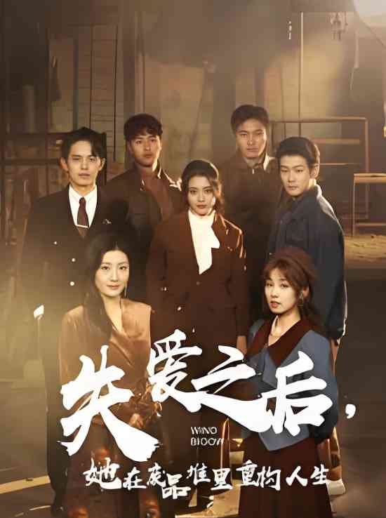 《失爱之后她在废品堆里重构人生》全集免费高清短剧无广告在线播放|短剧·中国大陆·2025  第1张