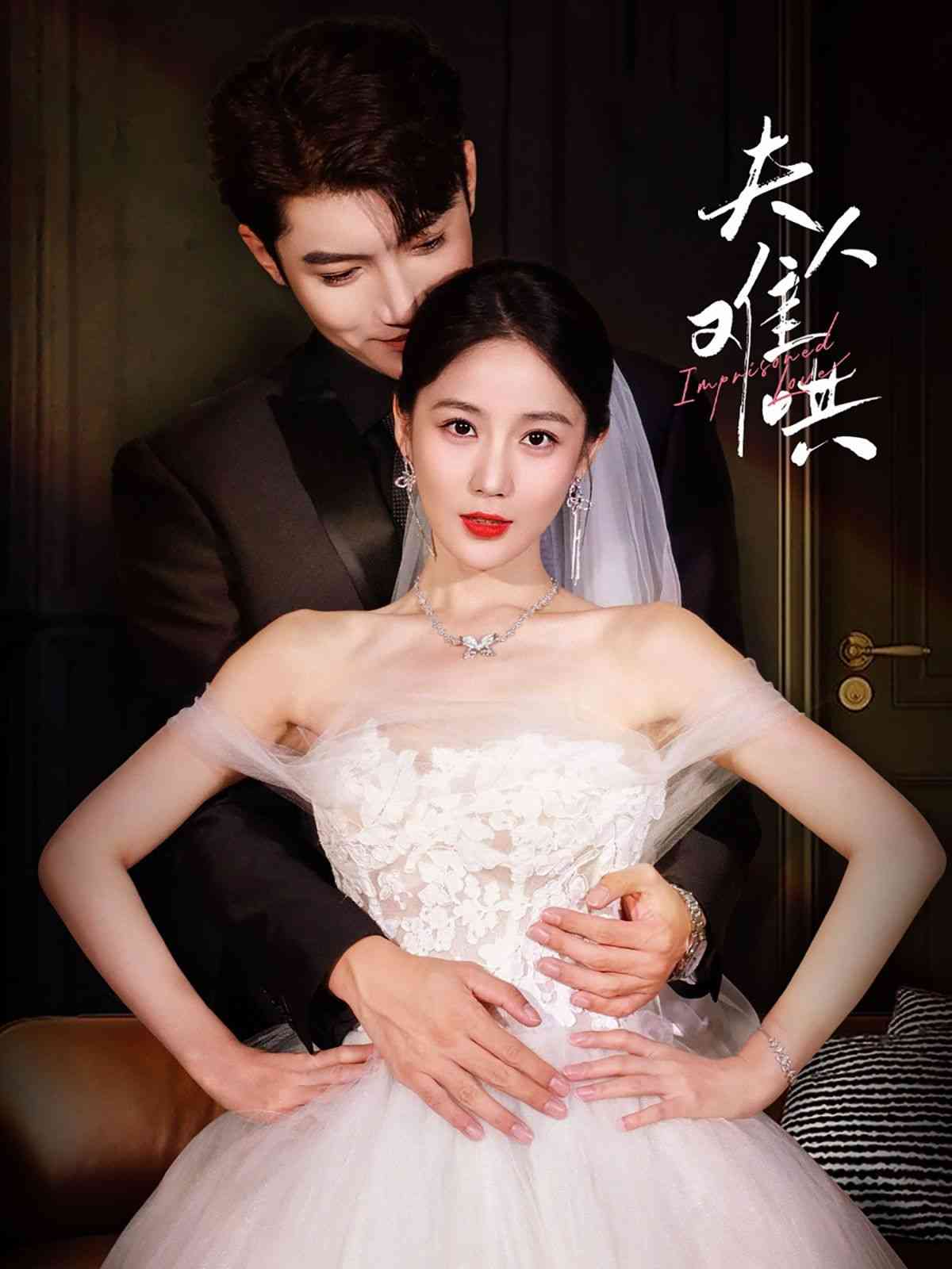 《夫人难哄》全集免费高清短剧无广告在线播放|短剧·中国大陆·2024  第1张