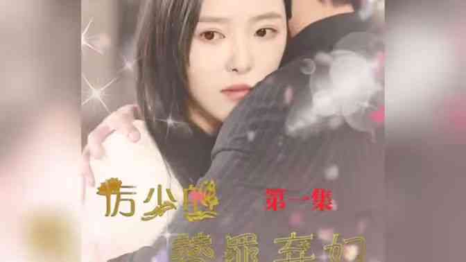 《厉少的替罪弃妇》全集免费高清短剧无广告在线播放|短剧·中国大陆·2024  第1张