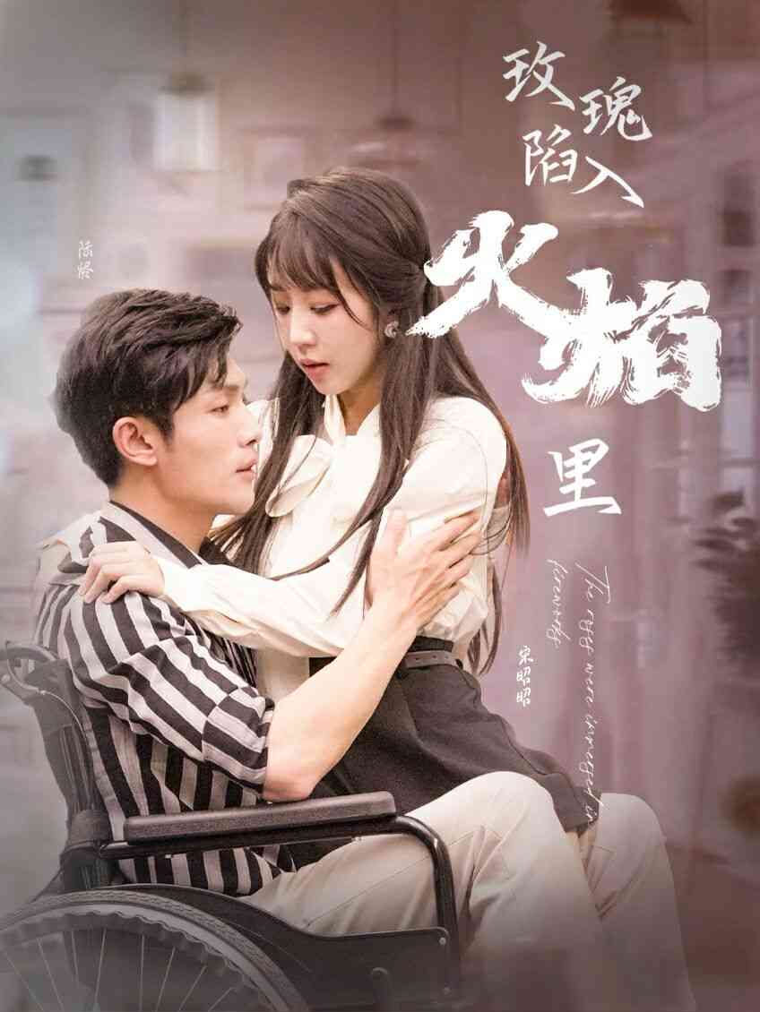 《新玫瑰陷入火焰里》全集免费高清短剧无广告在线播放|短剧·中国大陆·2024  第1张