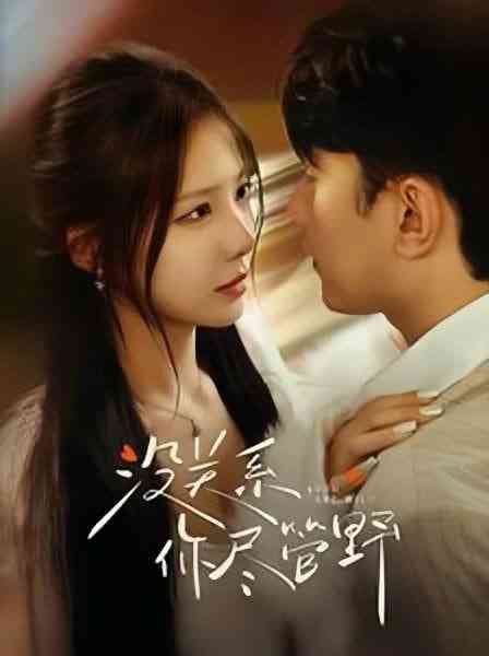 《没关系你尽管野》全集免费高清短剧无广告在线播放|短剧·中国大陆·2025  第1张