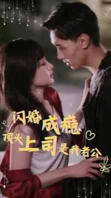 《闪婚成瘾顶头上司是我老公》全集免费高清短剧无广告在线播放|短剧·中国大陆·2024  第1张