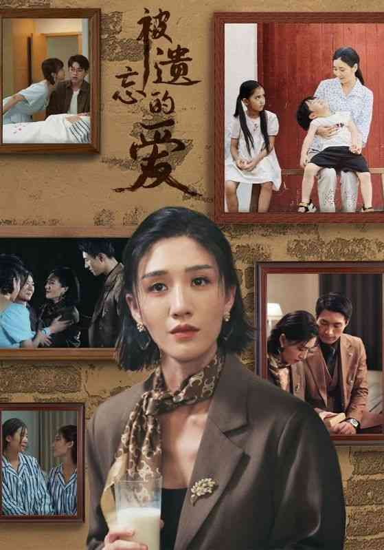 《被遗忘的爱》全集免费高清短剧无广告在线播放|短剧·中国大陆·2024  第1张