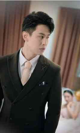 《傅少的替身新娘》全集免费高清短剧无广告在线播放|短剧·中国大陆·2024  第1张