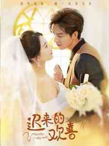 《迟来的欢喜》全集免费高清短剧无广告在线播放|短剧·中国大陆·2024  第1张