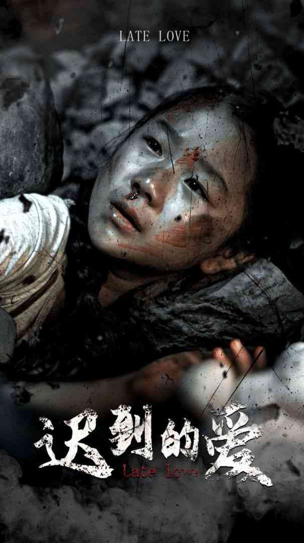 《迟到的爱》全集免费高清短剧无广告在线播放|短剧·中国大陆·2024  第1张