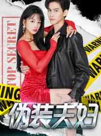 《伪装夫妇》全集免费高清短剧无广告在线播放|短剧·中国大陆·2024  第1张