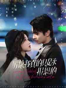 《厉总我真的只是来报恩的》全集免费高清短剧无广告在线播放|短剧·中国大陆·2024  第1张