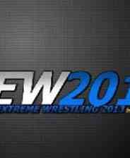 《终极摔跤2013》 英文免安装版》游戏免费下载|模拟经营·暴力·摔角  第1张