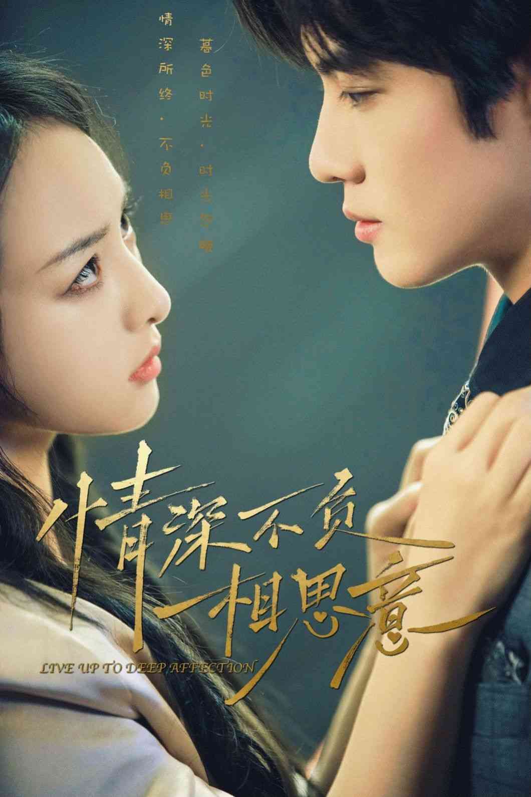 《情深不负相思意》全集免费高清短剧无广告在线播放|短剧·中国大陆·2024  第1张