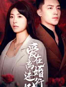 《爱在离婚进行时》全集免费高清短剧无广告在线播放|短剧·中国大陆·2024  第1张