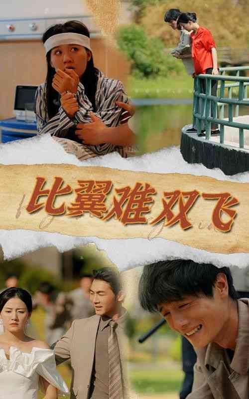 《比翼难双飞》全集免费高清短剧无广告在线播放|短剧·中国大陆·2024  第1张