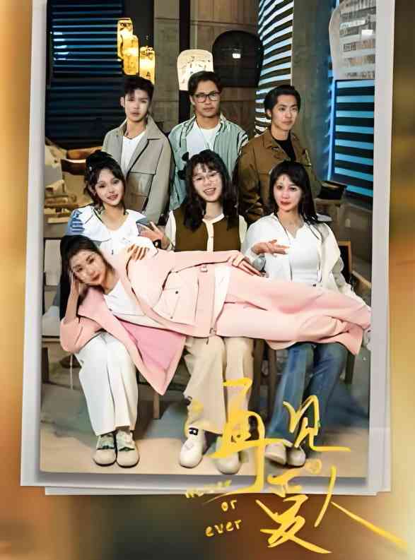 《不再见爱人》全集免费高清短剧无广告在线播放|短剧·中国大陆·2025  第1张