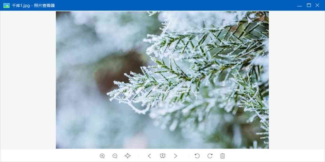 《照片查看器电脑版》软件免费下载|系统工具·1.0.19  第2张