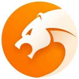 《猎豹浏览器官方免费版》软件免费下载|网络工具·9.0.112.22636  第1张