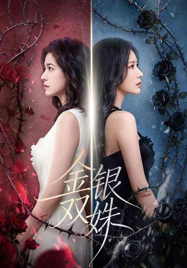 《金银双姝》全集免费高清短剧无广告在线播放|短剧·中国大陆·2025  第1张