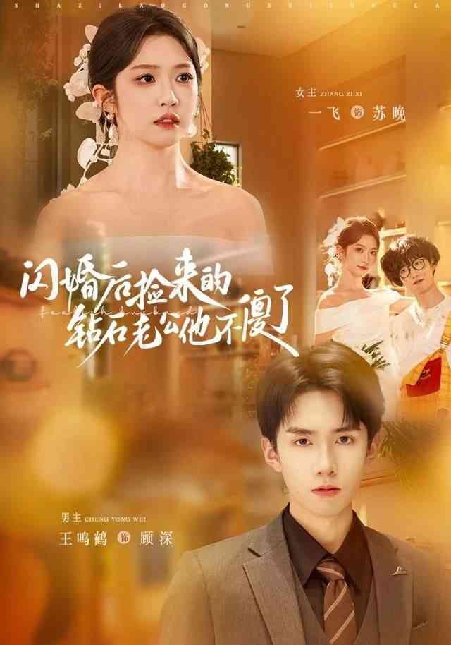 《闪婚后捡来的钻石老公他不傻了》全集免费高清短剧无广告在线播放|短剧·中国大陆·2025  第1张