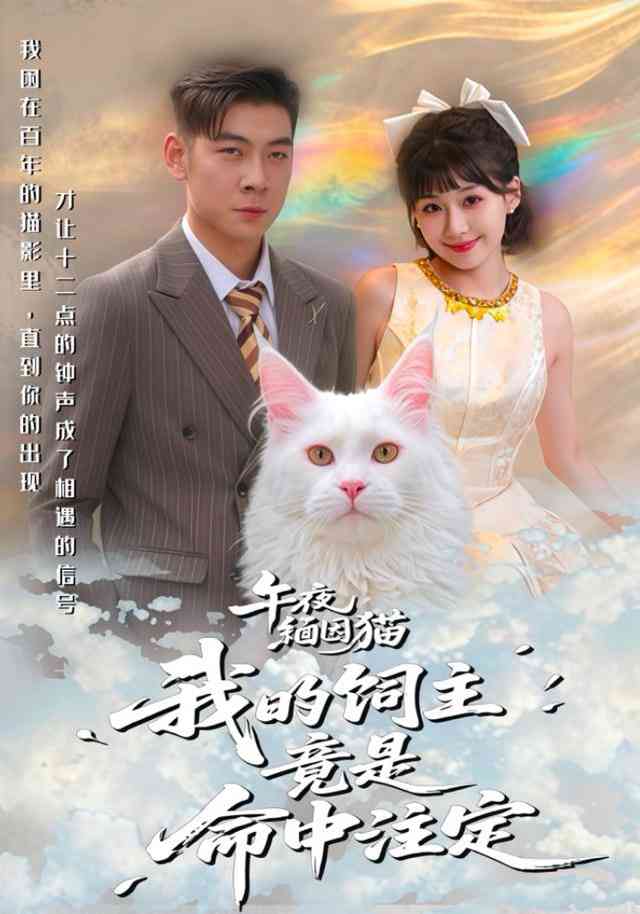 《午夜缅因猫我的饲主竟是命中注定》全集免费高清短剧无广告在线播放|短剧·中国大陆·2026  第1张