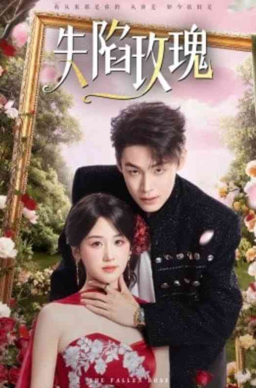 《失陷玫瑰》全集免费高清短剧无广告在线播放|短剧·中国大陆·2026  第1张