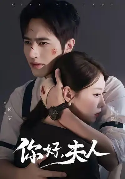 《你好夫人》全集免费高清短剧无广告在线播放|剧情·中国大陆·2026  第1张