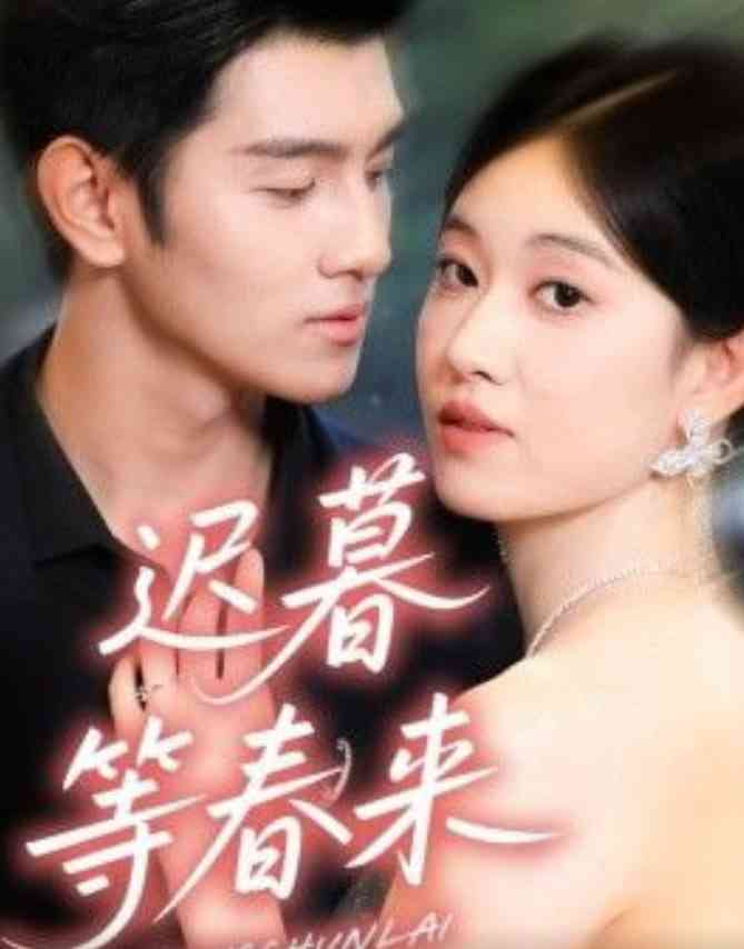 《迟暮等春来》全集免费高清短剧无广告在线播放|短剧·中国大陆·2026  第1张