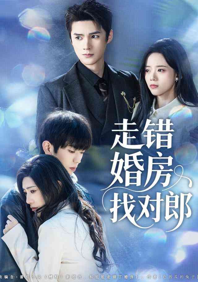《走错婚房找对郎》全集免费高清短剧无广告在线播放|短剧·中国大陆·2025  第1张