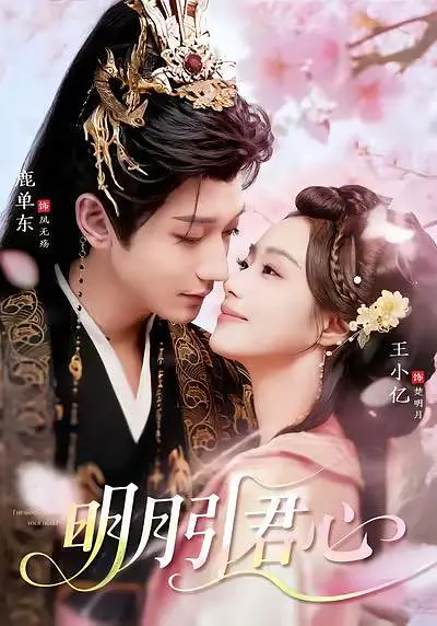 《明月引君心》全集免费高清短剧无广告在线播放|剧情·中国大陆·2026  第1张