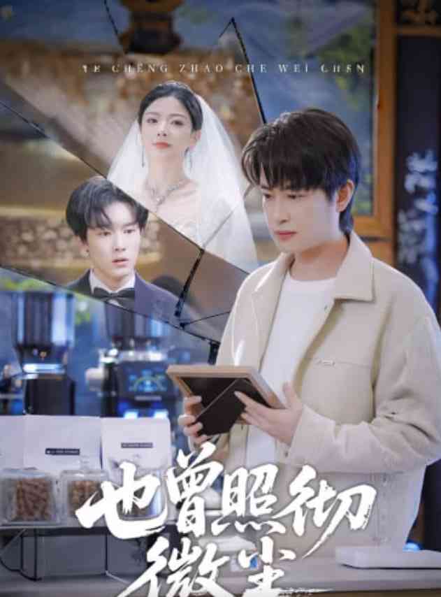 《也曾照彻微尘》全集免费高清短剧无广告在线播放|短剧·中国大陆·2026  第1张