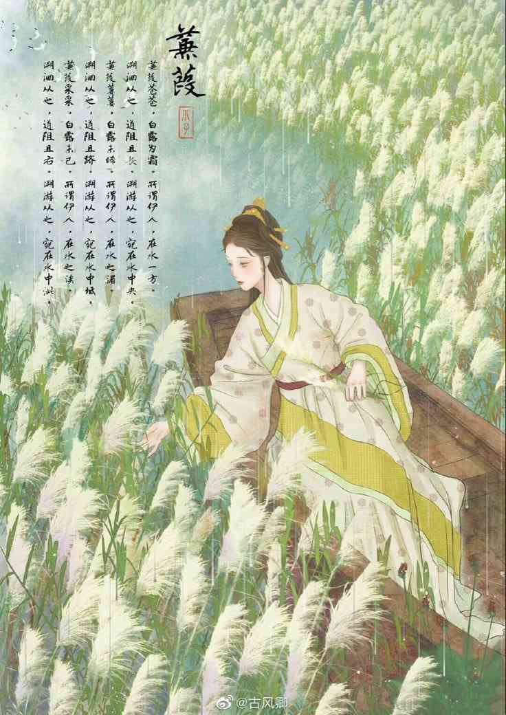 《蒹葭》全集免费高清短剧无广告在线播放|短剧·中国大陆·2025  第1张