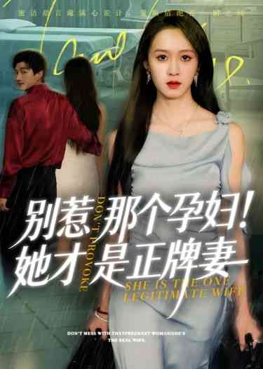 《别惹那个孕妇!她才是正牌妻》全集免费高清短剧无广告在线播放|短剧·中国大陆·2025  第1张