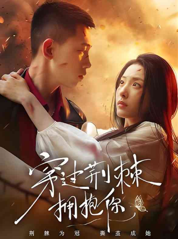 《穿过荆棘拥抱你》全集免费高清短剧无广告在线播放|短剧·中国大陆·2025  第1张