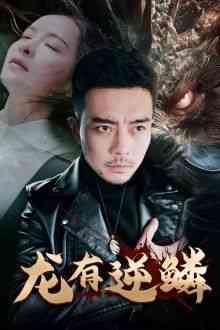 《龙有逆鳞》全集免费高清短剧无广告在线播放|短剧·中国大陆·2024  第1张