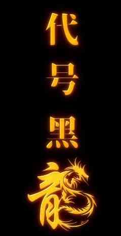 《代号黑龙》全集免费高清短剧无广告在线播放|短剧·中国大陆·2024  第1张