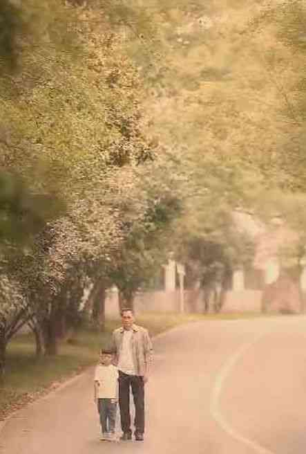 《不装了我是你惹不起的存在》全集免费高清短剧无广告在线播放|短剧·中国大陆·2024  第1张