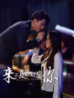 《来不及好好爱你》全集免费高清短剧无广告在线播放|短剧·中国大陆·2024  第1张