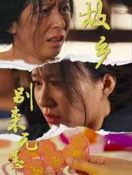 《故乡别来无恙》全集免费高清短剧无广告在线播放|短剧·中国大陆·2024  第1张