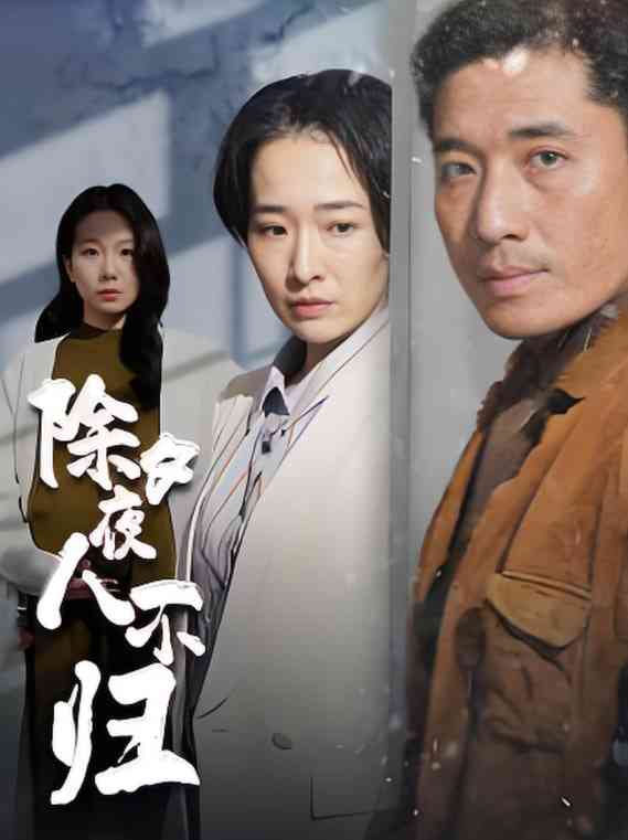 《除夕夜人不归》全集免费高清短剧无广告在线播放|短剧·中国大陆·2025  第1张