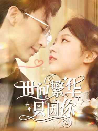 《新世间繁华只因你》全集免费高清短剧无广告在线播放|短剧·中国大陆·2024  第1张