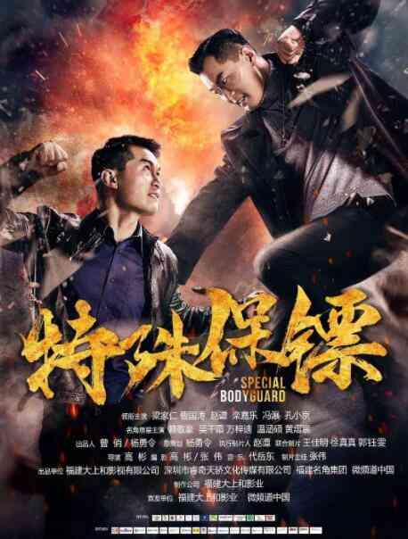 《特殊保镖》最新免费高清电影无广告在线播放|动作·中国大陆·2019  第1张