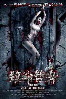 《致命替身》最新免费高清电影无广告在线播放|悬疑,惊悚·中国大陆·2012  第1张