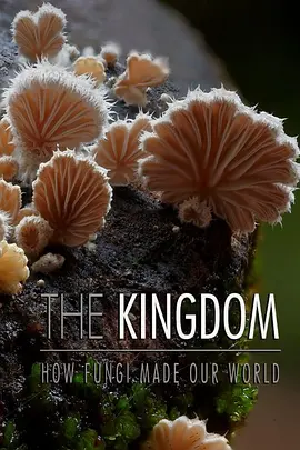 《真菌王国》最新免费高清电影无广告在线播放|纪录·加拿大 Canada,澳大利亚 Aust·2018  第1张