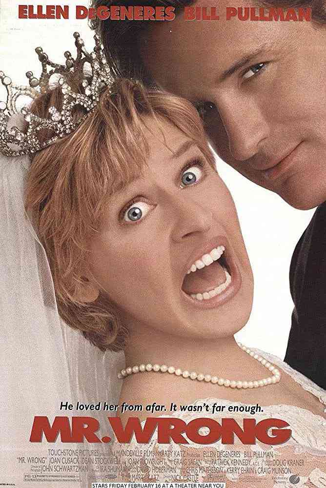 《二见钟情之新好男人》最新免费高清电影无广告在线播放|喜剧·美国·1996  第1张