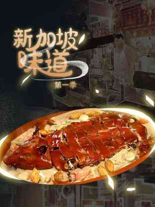 《新加坡味道》最新免费高清电影无广告在线播放|纪录,历史,文化,美食,纪录片·中国大陆·2023  第1张