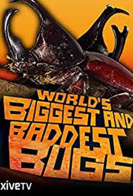 《虫霸天下》最新免费高清电影无广告在线播放|纪录片,纪录·美国·2009  第1张
