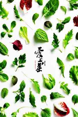 《爱上川菜》最新免费高清电影无广告在线播放|纪录片,纪录·中国大陆·2015  第1张