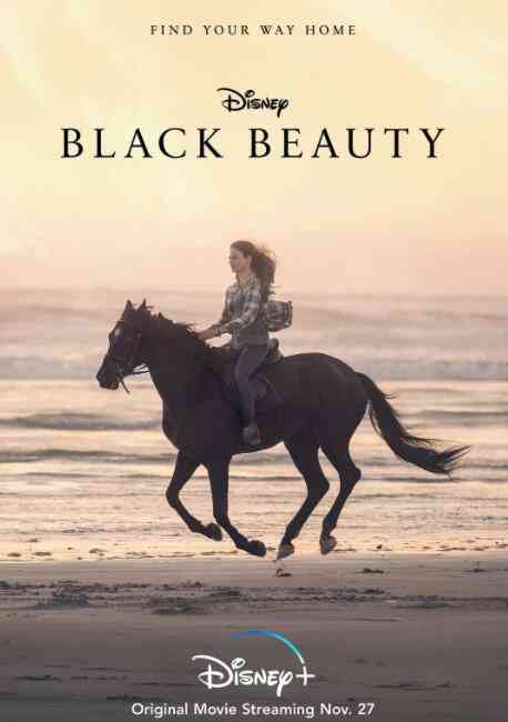 《黑神驹》最新免费高清电影无广告在线播放|剧情·美国 / 英国 南非 德国 /·2020  第1张