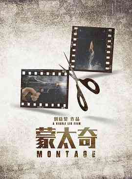 《蒙太奇》最新免费高清电影无广告在线播放|喜剧,科幻,短片,奇幻·中国大陆·2020  第1张