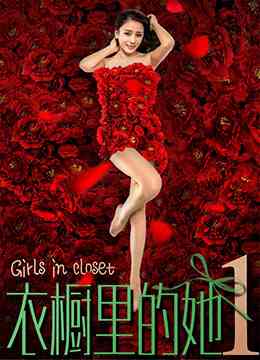《衣橱里的她1》最新免费高清电影无广告在线播放|爱情·中国大陆·2018  第1张