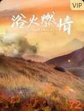 《浴火燃情》最新免费高清电影无广告在线播放|剧情·大陆·2017  第1张